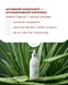 Mood ALOE & PAPAYA - Гель для интимной гигиены алоэ & папая 99101291101 фото 6