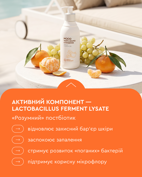 MOOD WHITE GRAPES & TANGERINE - Гель для интимной гигиены белый виноград & мандарин 99101292101 фото